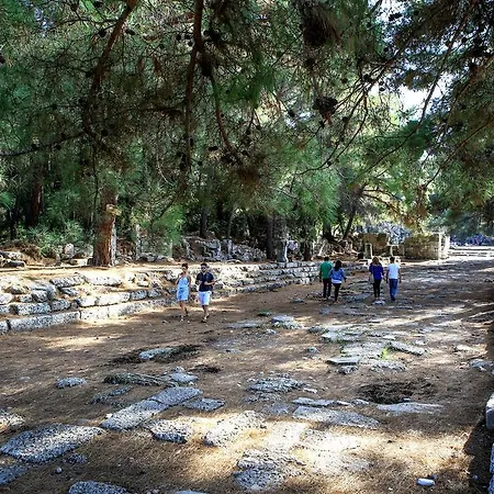 Ilimyra Çamyuva